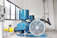 Nantong Senbo 32,000TPA Phenol Recovery and 100,000TPA Waste Water Treatment Project